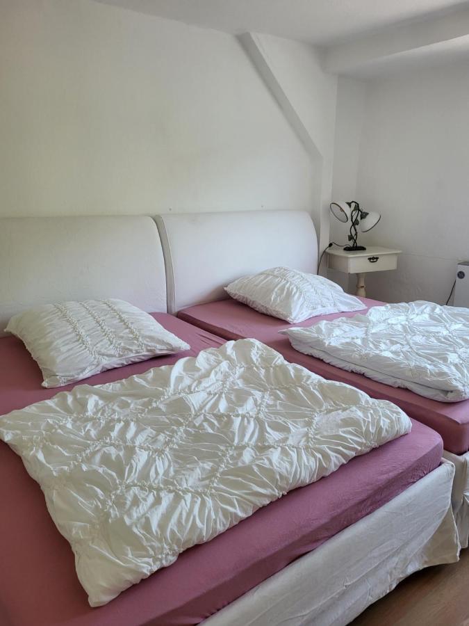 Ferienwohnung Elbblick Königstein Exterior foto